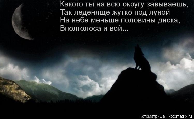 Какого ты на всю округу завываешь, Так леденяще жутко под луной На небе меньше половины диска, Вполго... Котоматрица: Какого ты на всю округу завываешь, Так леденяще жутко под луной На небе меньше половины диска, Вполголоса и вой...