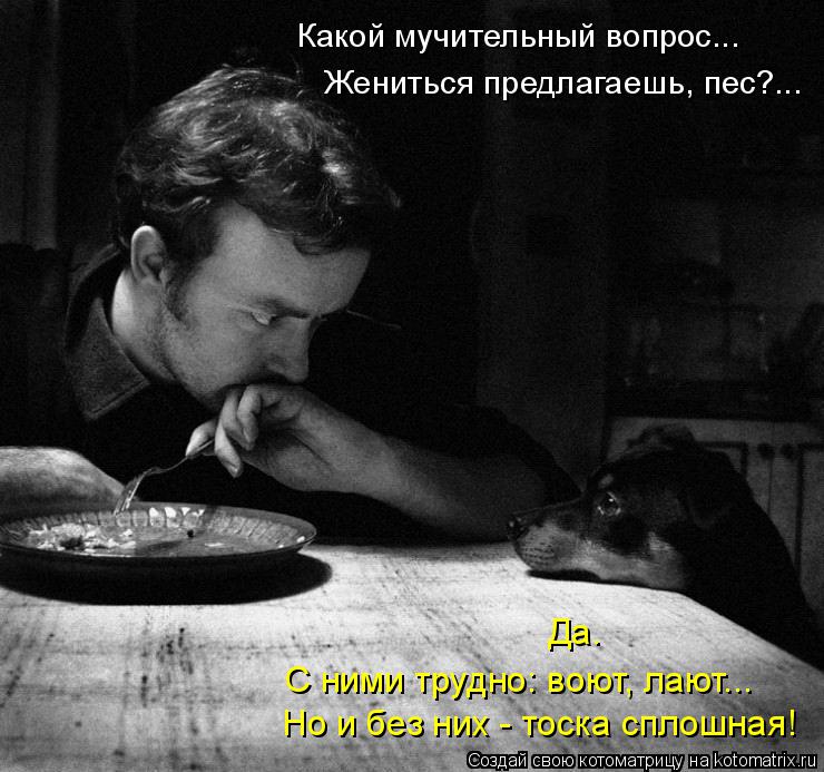 Какой мучительный вопрос... Жениться предлагаешь, пес?... Да. С ними трудно: воют, лают... Но и без н... Котоматрица: Какой мучительный вопрос... Жениться предлагаешь, пес?... Да. С ними трудно: воют, лают... Но и без них - тоска сплошная!
