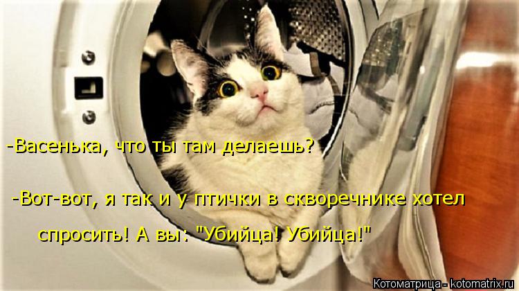 -Васенька, что ты там делаешь? -Вот-вот, я так и у птички в скворечнике хотел спросить! А вы: "Убийца... Котоматрица: -Васенька, что ты там делаешь? -Вот-вот, я так и у птички в скворечнике хотел спросить! А вы: "Убийца! Убийца!"