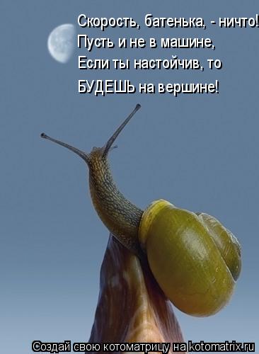 Скорость, батенька, - ничто! Пусть и не в машине, Если ты настойчив, то БУДЕШЬ на вершине!... Котоматрица: Скорость, батенька, - ничто! Пусть и не в машине, Если ты настойчив, то БУДЕШЬ на вершине!