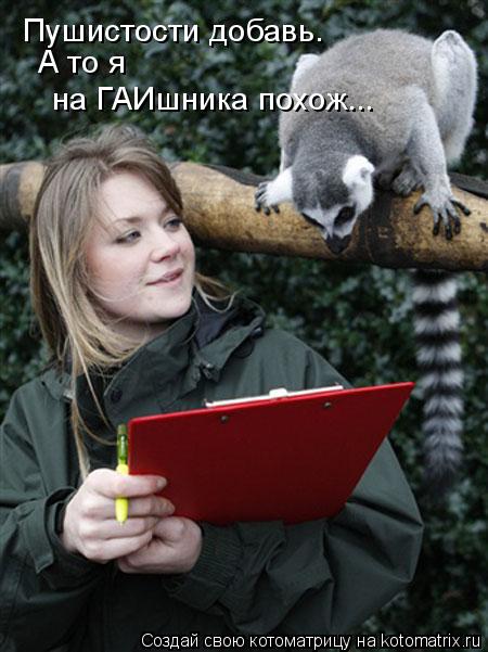 Пушистости добавь. А то я на ГАИшника похож...... Котоматрица: Пушистости добавь. А то я на ГАИшника похож...