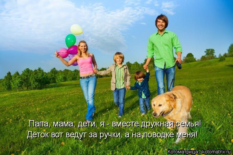 Папа, мама, дети, я - вместе дружная семья! Деток вот ведут за ручки, а на поводке меня!... Котоматрица: Папа, мама, дети, я - вместе дружная семья! Деток вот ведут за ручки, а на поводке меня!
