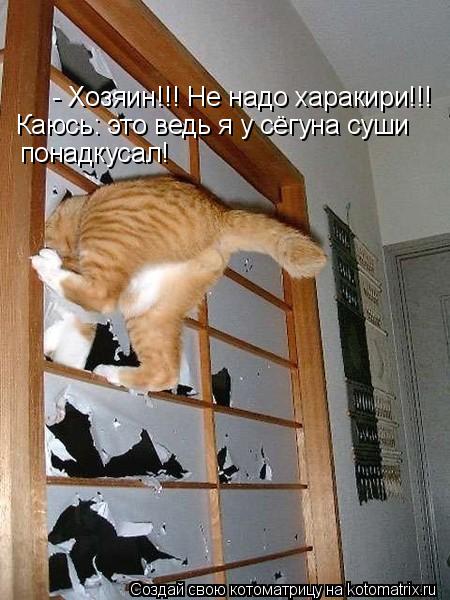 - Хозяин!!! Не надо харакири!!! Каюсь: это ведь я у сёгуна суши понадкусал!... Котоматрица: - Хозяин!!! Не надо харакири!!! Каюсь: это ведь я у сёгуна суши понадкусал!