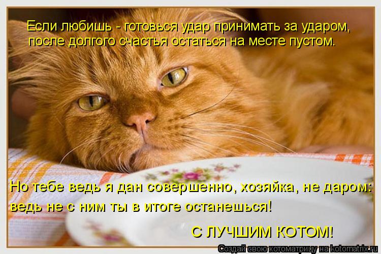 после долгого счастья остаться на месте пустом. Если любишь - готовься удар принимать за ударом, Но т... Котоматрица: после долгого счастья остаться на месте пустом. Если любишь - готовься удар принимать за ударом, Но тебе ведь я дан совершенно, хозяйка, не д