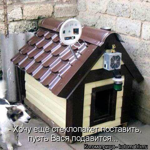 - Хочу ещё стеклопакет поставить, пусть Вася подавится...... Котоматрица: - Хочу ещё стеклопакет поставить, пусть Вася подавится...