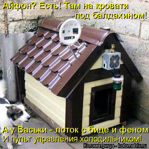 Айфон? Есть! Там на кровати под балдахином! А у Васьки - лоток с биде и феном! И пульт управления хо... Котоматрица: Айфон? Есть! Там на кровати под балдахином! А у Васьки - лоток с биде и феном! И пульт управления холодильником!