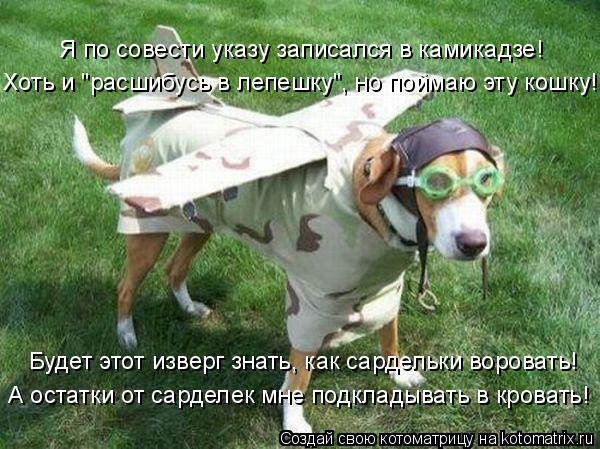 Хоть и "расшибусь в лепешку", но поймаю эту кошку! Я по совести указу записался в камикадзе! Будет эт... Котоматрица: Хоть и "расшибусь в лепешку", но поймаю эту кошку! Я по совести указу записался в камикадзе! Будет этот изверг знать, как сардельки воровать!