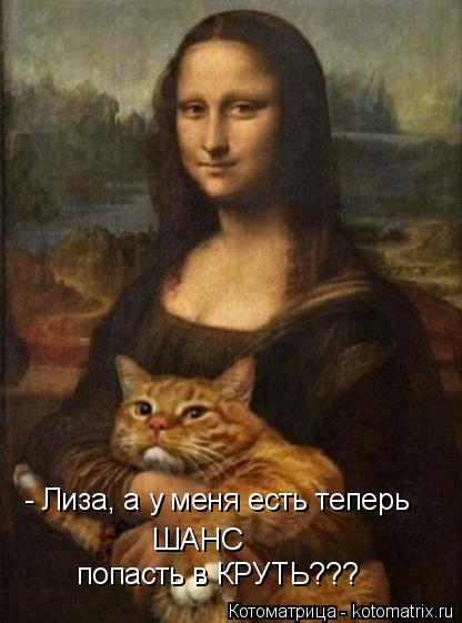 ШАНС попасть в КРУТЬ??? - Лиза, а у меня есть теперь... Котоматрица: ШАНС попасть в КРУТЬ??? - Лиза, а у меня есть теперь