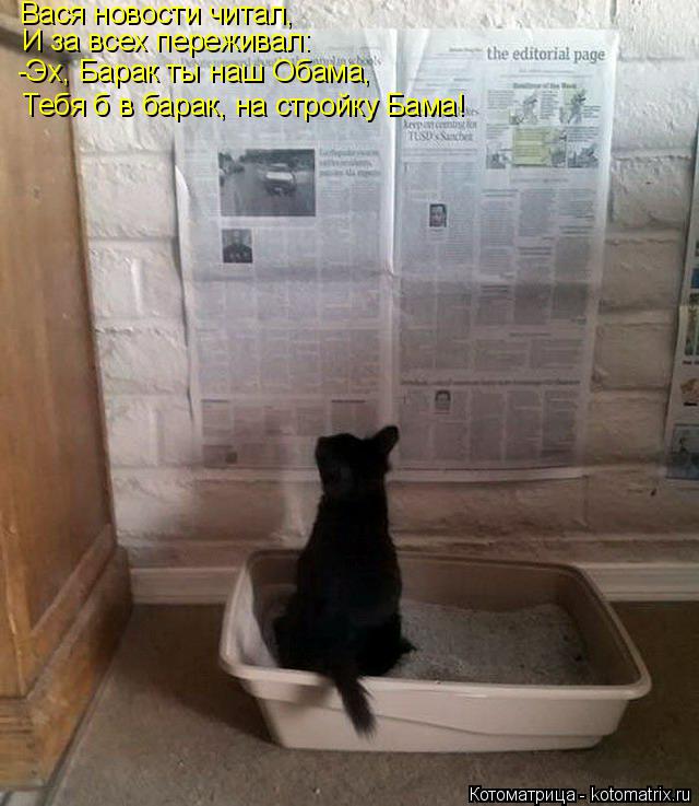Вася новости читал, И за всех переживал: -Эх, Барак ты наш Обама, Тебя б в барак, на стройку Бама!... Котоматрица: Вася новости читал, И за всех переживал: -Эх, Барак ты наш Обама, Тебя б в барак, на стройку Бама!