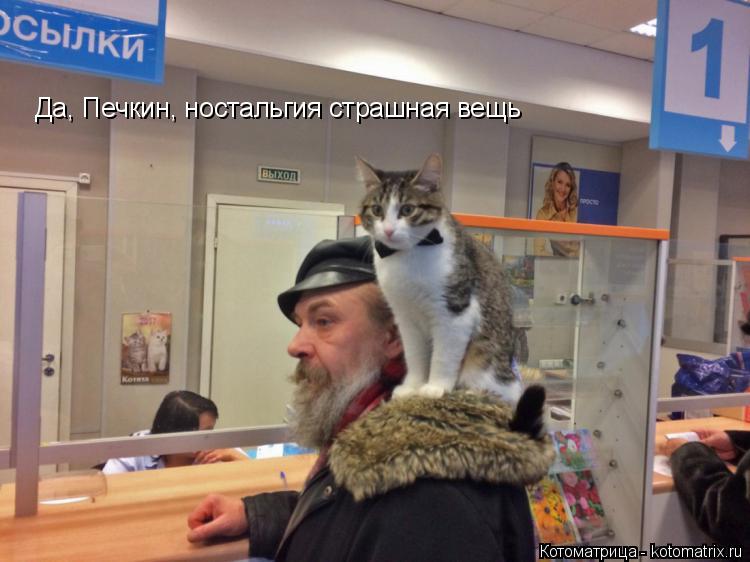 Да, Печкин, ностальгия страшная вещь... Котоматрица: Да, Печкин, ностальгия страшная вещь