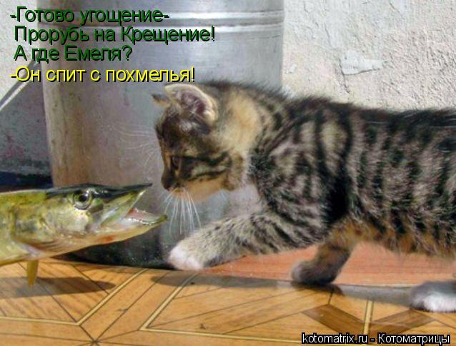 -Готово угощение- Прорубь на Крещение! А где Емеля? -Он спит с похмелья!... Котоматрица: -Готово угощение- Прорубь на Крещение! А где Емеля? -Он спит с похмелья!