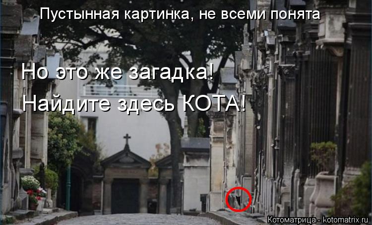 Пустынная картинка, не всеми понята Но это же загадка! Найдите здесь КОТА!... Котоматрица: Пустынная картинка, не всеми понята Но это же загадка! Найдите здесь КОТА!