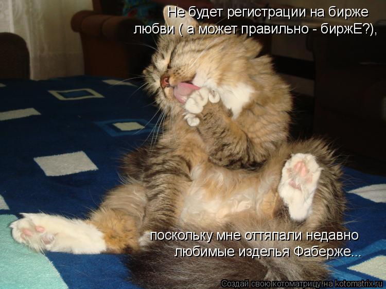 Не будет регистрации на бирже любви ( а может правильно - биржЕ?), поскольку мне оттяпали недавно лю... Котоматрица: Не будет регистрации на бирже любви ( а может правильно - биржЕ?), поскольку мне оттяпали недавно любимые изделья Фаберже...