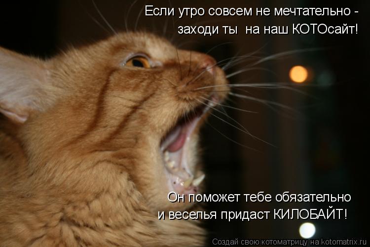Если утро совсем не мечтательно - заходи ты на наш КОТОсайт! Он поможет тебе обязательно и веселья ... Котоматрица: Если утро совсем не мечтательно - заходи ты на наш КОТОсайт! Он поможет тебе обязательно и веселья придаст КИЛОБАЙТ!