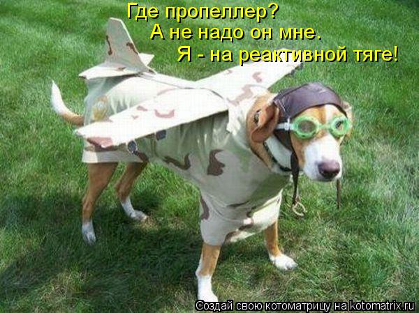 Где пропеллер? А не надо он мне. Я - на реактивной тяге!... Котоматрица: Где пропеллер? А не надо он мне. Я - на реактивной тяге!