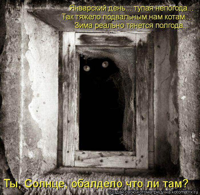 Январский день... тупая непогода... Так тяжело подвальным нам котам... Зима реально тянется полгода..... Котоматрица: Январский день... тупая непогода... Так тяжело подвальным нам котам... Зима реально тянется полгода... Ты, Солнце, обалдело что ли там?