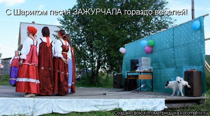 С Шариком песня ЗАЖУРЧАЛА гораздо веселей!... Котоматрица: С Шариком песня ЗАЖУРЧАЛА гораздо веселей!