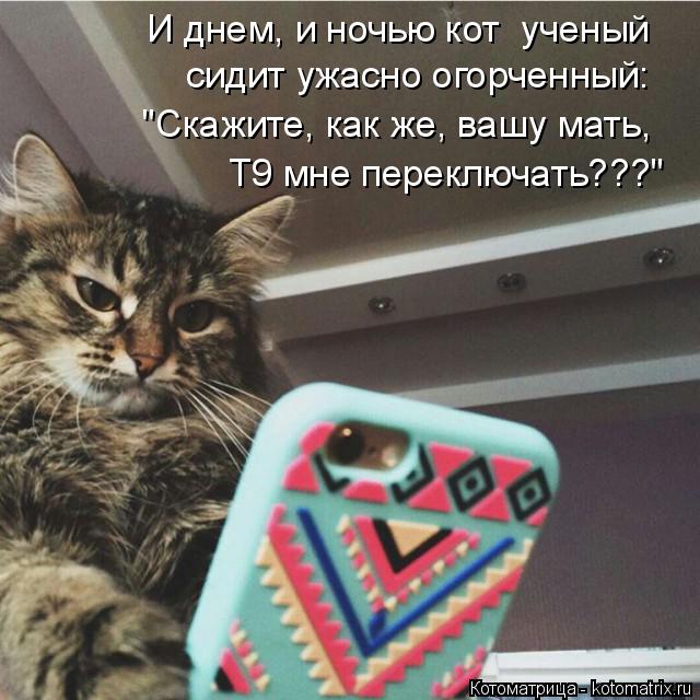 И днем, и ночью кот ученый сидит ужасно огорченный: "Скажите, как же, вашу мать, Т9 мне переключат... Котоматрица: И днем, и ночью кот ученый сидит ужасно огорченный: "Скажите, как же, вашу мать, Т9 мне переключать???"