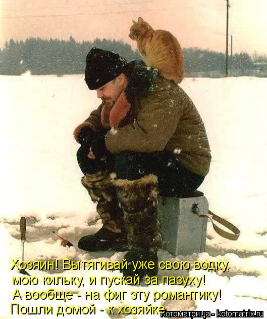 Хозяин! Вытягивай уже свою водку, мою кильку, и пускай за пазуху! А вообще - на фиг эту романтику! По... Котоматрица: Хозяин! Вытягивай уже свою водку, мою кильку, и пускай за пазуху! А вообще - на фиг эту романтику! Пошли домой - к хозяйке