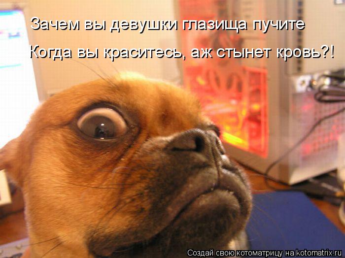 Зачем вы девушки глазища пучите Когда вы краситесь, аж стынет кровь?!... Котоматрица: Зачем вы девушки глазища пучите Когда вы краситесь, аж стынет кровь?!