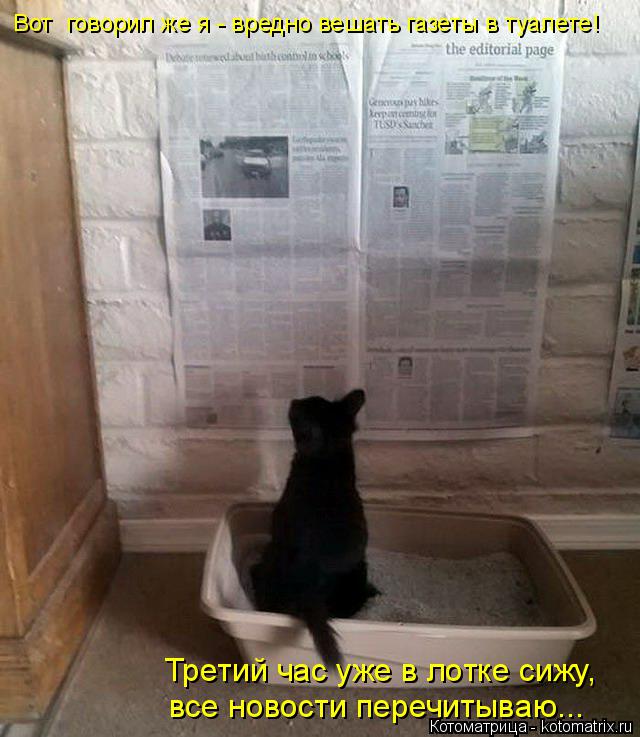 Вот говорил же я - вредно вешать газеты в туалете! все новости перечитываю... Третий час уже в лотке... Котоматрица: Вот говорил же я - вредно вешать газеты в туалете! все новости перечитываю... Третий час уже в лотке сижу,