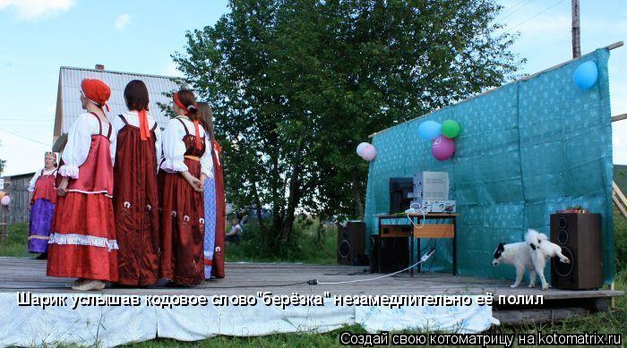 Шарик услышав кодовое слово"берёзка" незамедлительно её полил... Котоматрица: Шарик услышав кодовое слово"берёзка" незамедлительно её полил