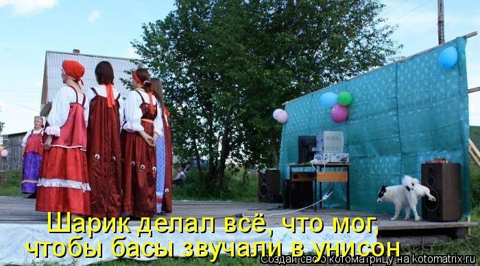 Шарик делал всё, что мог, чтобы басы звучали в унисон... Котоматрица: Шарик делал всё, что мог, чтобы басы звучали в унисон