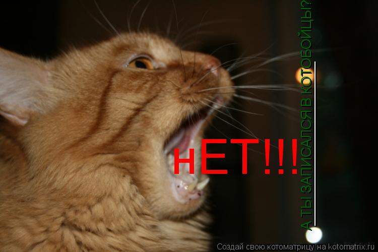 ______________________ А ТЫ ЗАПИСАЛСЯ В КОТОБОЙЦЫ? нЕТ!!!... Котоматрица: ______________________ А ТЫ ЗАПИСАЛСЯ В КОТОБОЙЦЫ? нЕТ!!!