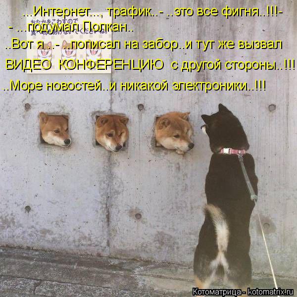 ...Интернет..., трафик..- ..это все фигня..!!!- - ...подумал Полкан.. ..Вот я ..- ..пописал на забор.... Котоматрица: ...Интернет..., трафик..- ..это все фигня..!!!- - ...подумал Полкан.. ..Вот я ..- ..пописал на забор..и тут же вызвал ..Море новостей..и никакой электроник