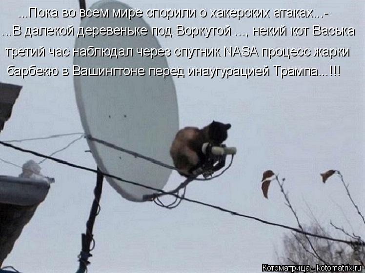 ...Пока во всем мире спорили о хакерских атаках...- ...В далекой деревеньке под Воркутой ..., некий к... Котоматрица: ...Пока во всем мире спорили о хакерских атаках...- ...В далекой деревеньке под Воркутой ..., некий кот Васька третий час наблюдал через спутник