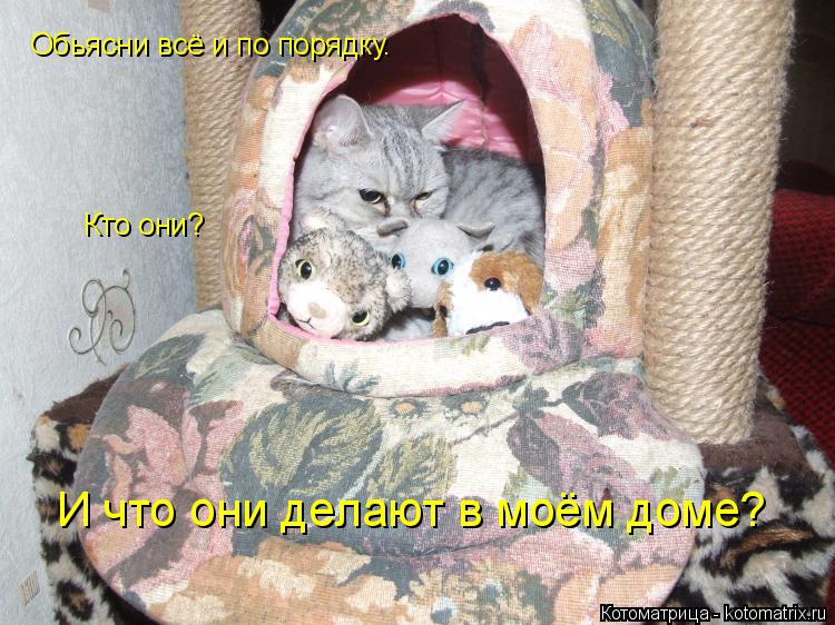 И что они делают в моём доме? Обьясни всё и по порядку. Кто они?... Котоматрица: И что они делают в моём доме? Обьясни всё и по порядку. Кто они?