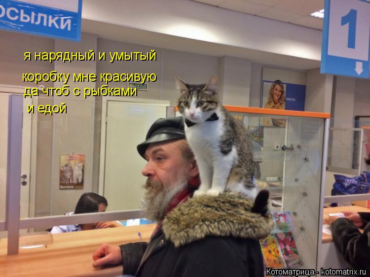 я нарядный и умытый коробку мне красивую да чтоб с рыбками и едой... Котоматрица: я нарядный и умытый коробку мне красивую да чтоб с рыбками и едой