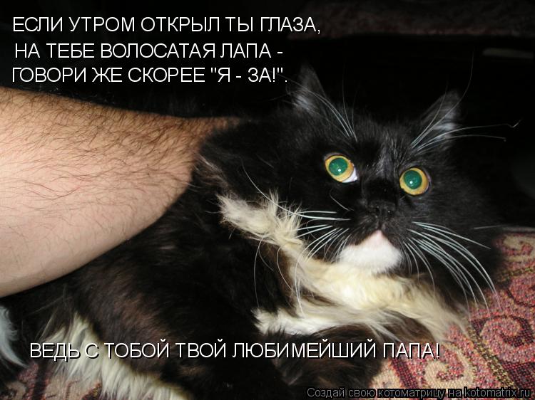 ЕСЛИ УТРОМ ОТКРЫЛ ТЫ ГЛАЗА, НА ТЕБЕ ВОЛОСАТАЯ ЛАПА - ГОВОРИ ЖЕ СКОРЕЕ "Я - ЗА!". ВЕДЬ С ТОБОЙ ТВОЙ ... Котоматрица: ЕСЛИ УТРОМ ОТКРЫЛ ТЫ ГЛАЗА, НА ТЕБЕ ВОЛОСАТАЯ ЛАПА - ГОВОРИ ЖЕ СКОРЕЕ "Я - ЗА!". ВЕДЬ С ТОБОЙ ТВОЙ ЛЮБИМЕЙШИЙ ПАПА!