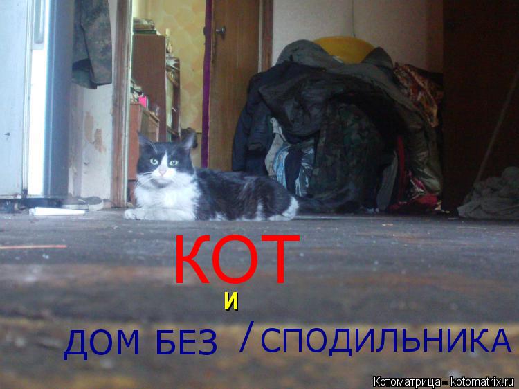 КОТ и ДОМ БЕЗ / СПОДИЛЬНИКА... Котоматрица: КОТ и ДОМ БЕЗ / СПОДИЛЬНИКА