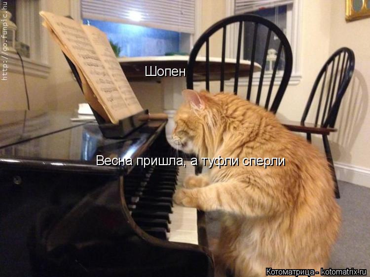 Шопен Весна пришла, а туфли сперли... Котоматрица: Шопен Весна пришла, а туфли сперли
