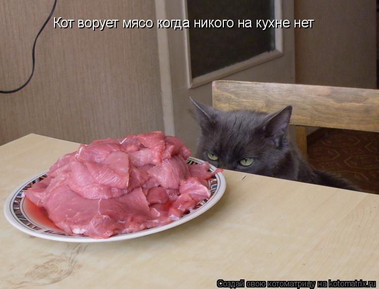 Кот ворует мясо когда никого на кухне нет... Котоматрица: Кот ворует мясо когда никого на кухне нет
