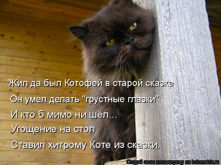 Жил да был Котофей в старой сказке Он умел делать "грустные глазки" И кто б мимо ни шёл... Угощение н... Котоматрица: Жил да был Котофей в старой сказке Он умел делать "грустные глазки" И кто б мимо ни шёл... Угощение на стол Ставил хитрому Коте из сказки.