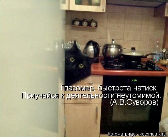 Глазомер, быстрота натиск Приучайся к деятельности неутомимой. (А.В.Суворов)... Котоматрица: Глазомер, быстрота натиск Приучайся к деятельности неутомимой. (А.В.Суворов)