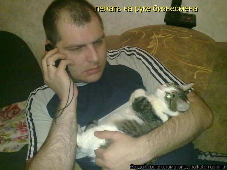 лежать на руке бизнесмена... Котоматрица: лежать на руке бизнесмена