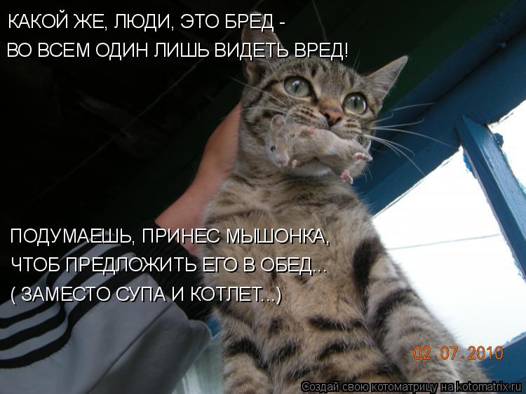 ВО ВСЕМ ОДИН ЛИШЬ ВИДЕТЬ ВРЕД! КАКОЙ ЖЕ, ЛЮДИ, ЭТО БРЕД - ПОДУМАЕШЬ, ПРИНЕС МЫШОНКА, ЧТОБ ПРЕДЛОЖИТЬ... Котоматрица: ВО ВСЕМ ОДИН ЛИШЬ ВИДЕТЬ ВРЕД! КАКОЙ ЖЕ, ЛЮДИ, ЭТО БРЕД - ПОДУМАЕШЬ, ПРИНЕС МЫШОНКА, ЧТОБ ПРЕДЛОЖИТЬ ЕГО В ОБЕД... ( ЗАМЕСТО СУПА И КОТЛЕТ...)