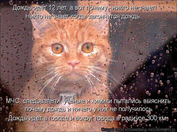 Дождь идёт 12 лет, а вот почему - никто не знает! Никто не знает когда закончится дождь. МЧС, следова... Котоматрица: Дождь идёт 12 лет, а вот почему - никто не знает! Никто не знает когда закончится дождь. МЧС, следователи, учёные и химики пытались выяснить по