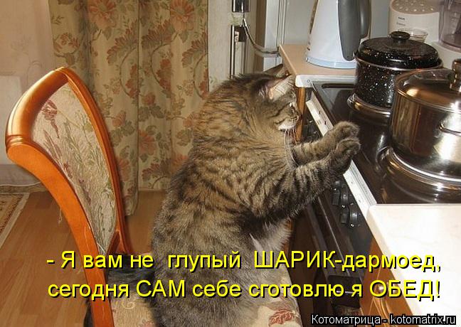 - Я вам не глупый ШАРИК-дармоед, сегодня САМ себе сготовлю я ОБЕД!... Котоматрица: - Я вам не глупый ШАРИК-дармоед, сегодня САМ себе сготовлю я ОБЕД!