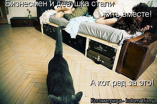Бизнесмен и девушка стали жить вместе! А кот рад за это!... Котоматрица: Бизнесмен и девушка стали жить вместе! А кот рад за это!