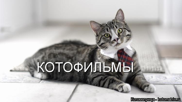 КОТОФИЛЬМЫ... Котоматрица: КОТОФИЛЬМЫ