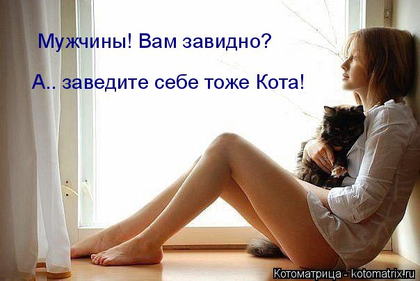 Мужчины! Вам завидно? А.. заведите себе тоже Кота!... Котоматрица: Мужчины! Вам завидно? А.. заведите себе тоже Кота!
