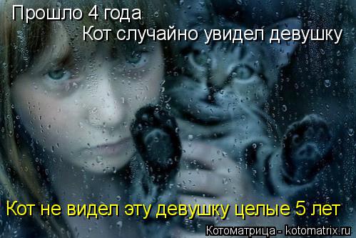 Прошло 4 года Кот случайно увидел девушку Кот не видел эту девушку целые 5 лет... Котоматрица: Прошло 4 года Кот случайно увидел девушку Кот не видел эту девушку целые 5 лет