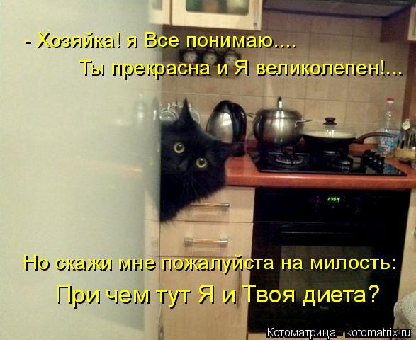 - Хозяйка! я Все понимаю.... Но скажи мне пожалуйста на милость: При чем тут Я и Твоя диета? Ты прекр... Котоматрица: - Хозяйка! я Все понимаю.... Но скажи мне пожалуйста на милость: При чем тут Я и Твоя диета? Ты прекрасна и Я великолепен!...