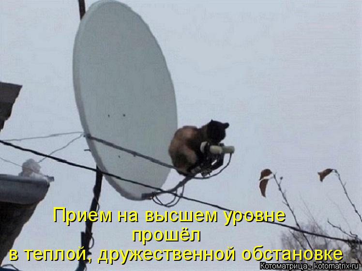 Прием на высшем уровне прошёл в теплой, дружественной обстановке... Котоматрица: Прием на высшем уровне прошёл в теплой, дружественной обстановке