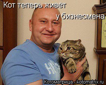 Кот теперь живёт у бизнесмена... Котоматрица: Кот теперь живёт у бизнесмена