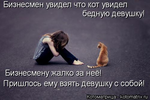 Бизнесмен увидел что кот увидел бедную девушку! Бизнесмену жалко за неё! Пришлось ему взять девушку с... Котоматрица: Бизнесмен увидел что кот увидел бедную девушку! Бизнесмену жалко за неё! Пришлось ему взять девушку с собой!